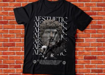 AESTHETIC ZEUS EAGLE design Street fashion and urban outfit design