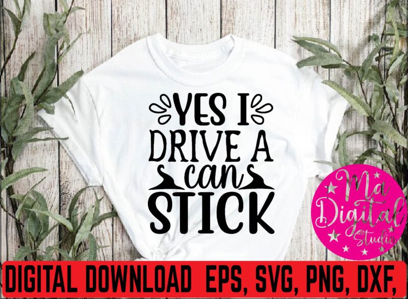yes i drive a can stick svg