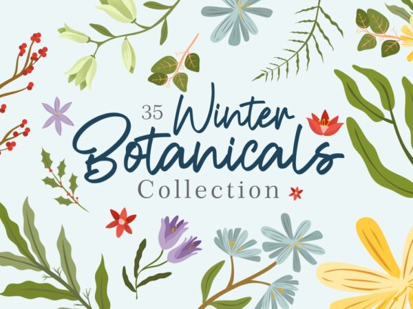 Winter botanicals illustrations clipart collection, winter floral elements bundle t shirt design for sale