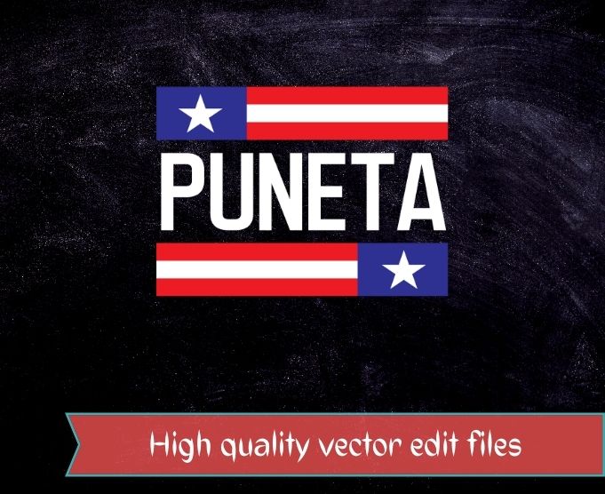 puñeta funny usa flag saying gifts T-shirt design