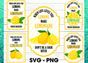 Bundle 36 When Life Gives You Lemons Vodka Lemonade svg png, When Life Gives You Limes Mojitos Margaritas svg, Bring The Tequila svg png 1013703962