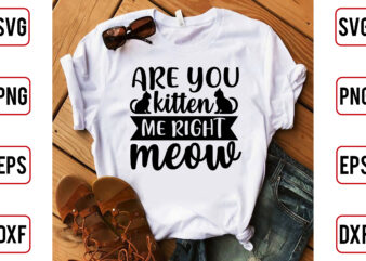 Are You Kitten Me Right Meow t shirt vector