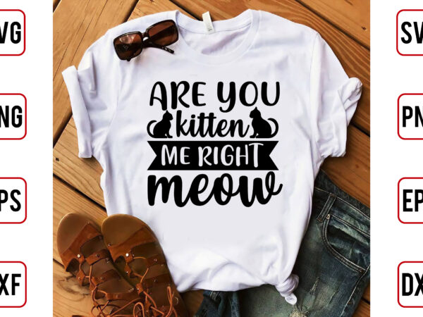 Are you kitten me right meow t shirt vector