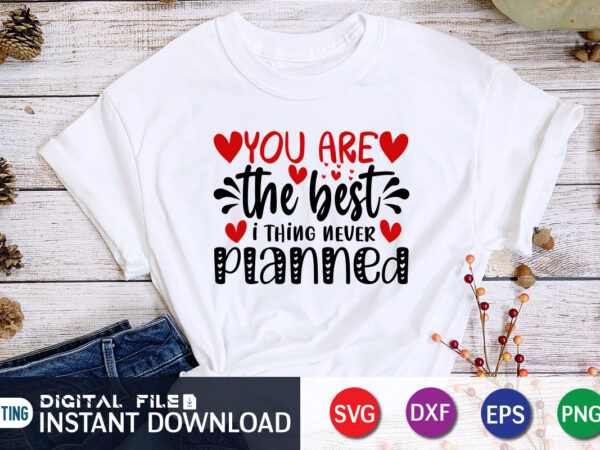 You are the best thing i never planned t shirt,you are the best thing i never planned svg happy valentine shirt print template, heart sign vector, cute heart vector, typography