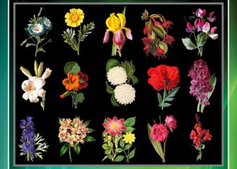 50 Vintage Colorful Flower Clipart Bundle, Printable Flowers, PNG Flowers, Transparent Background Flowers, Transparent Background PNG Files 711825009