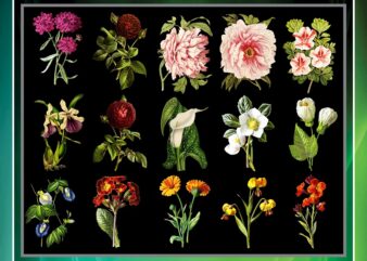 50 Vintage Colorful Flower Clipart Bundle, Printable Flowers, PNG Flowers, Transparent Background Flowers, Transparent Background PNG Files 711825009