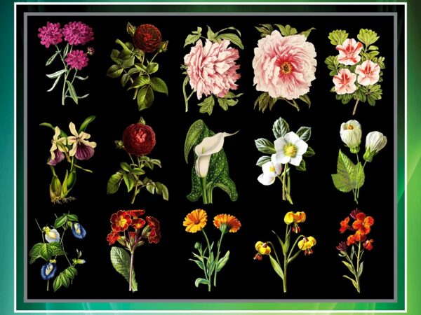 50 vintage colorful flower clipart bundle, printable flowers, png flowers, transparent background flowers, transparent background png files 711825009