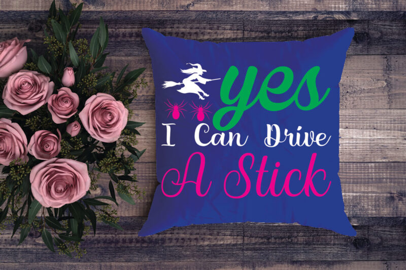 yes i can drive a stick