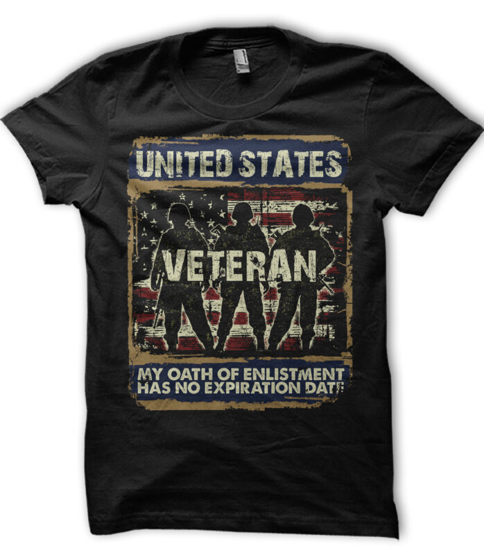 UNITED STATES VETERAN ILLUSTRATION GRAPHIC