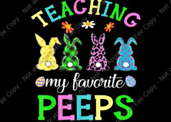Teaching My Favorite Peeps Png, Easter Day Funny Teacher Png, Easter Day Png, Bunny Png