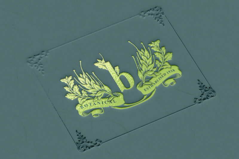 Elegant Botanical Logo with luxury frame vintage
