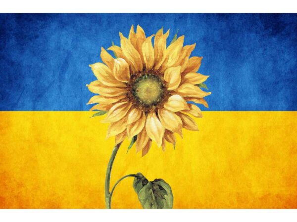 Sunflower on ukraine flag tshirt design