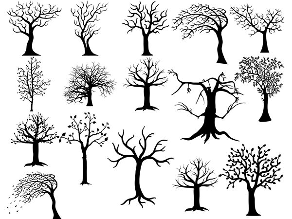 Tree svg bundle, woodland svg, png, forest svg bundle, camping svg, bare tree svg, tree branch svg t shirt designs for sale