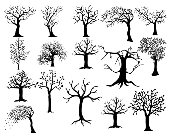 Tree svg bundle, woodland svg, png, forest svg bundle, camping svg, bare tree svg, tree branch svg