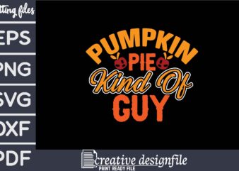 pumpkin pie kind of guy T-Shirt