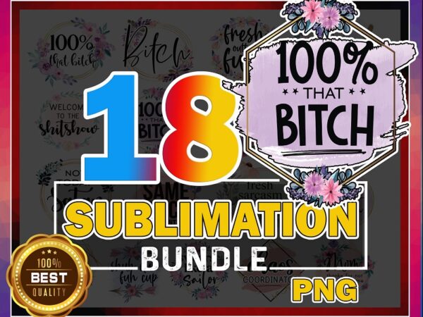 18 sublimation bundle, sublimation png, welcome to the shitshow, 100% that bitch png, drinks well with others, funny swearing quotes png 938834938