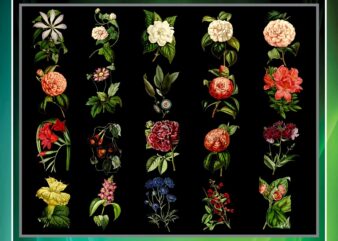 50 Vintage Colorful Flower Clipart Bundle, Printable Flowers, PNG Flowers, Transparent Background Flowers, Transparent Background PNG Files 711825009