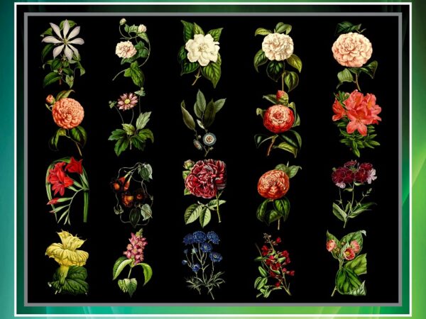 50 vintage colorful flower clipart bundle, printable flowers, png flowers, transparent background flowers, transparent background png files 711825009 50 vintage colorful flower clipart bundle, printable flowers, png flowers, transparent background flowers, transparent background png files 711825009