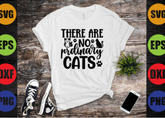 there are no prdinary cats
