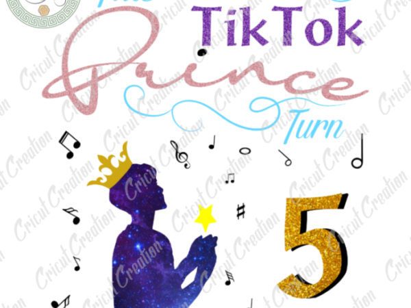 Tiktok trend , tiktok prince turn to 5 diy crafts, tiktok lover png files , little prince silhouette files, trending cameo htv prints t shirt designs for sale