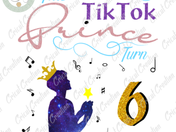 Tiktok trends , tiktok prince turn to 6 diy crafts, tiktoker png files ,birthday prince silhouette files, trending cameo htv prints t shirt designs for sale