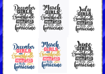 24 Birthday Months SVG Bundle | Commercial Use Vector, January February March April May June July August September October November December 676827985