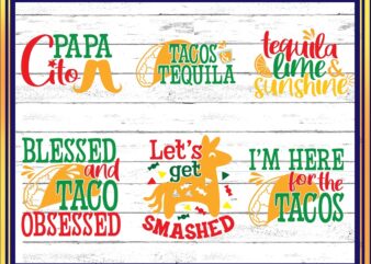 Cinco de Mayo SVG Bundle | 26 Designs | Cut File | Clipart | Printable | Vector | Commercial Use | Instant Download 773323192