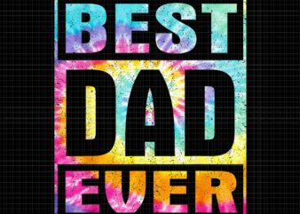 Best Dad Ever Vintage Tie Dye Png, Funny Fathers Day Png, Best Dad Ever Png, Dad Tie Dye Png