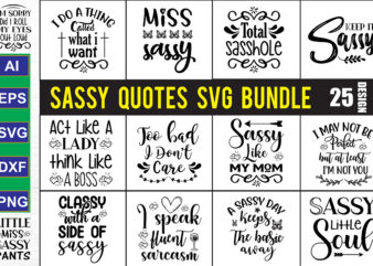 Sassy SVG Bundle t shirt template vector