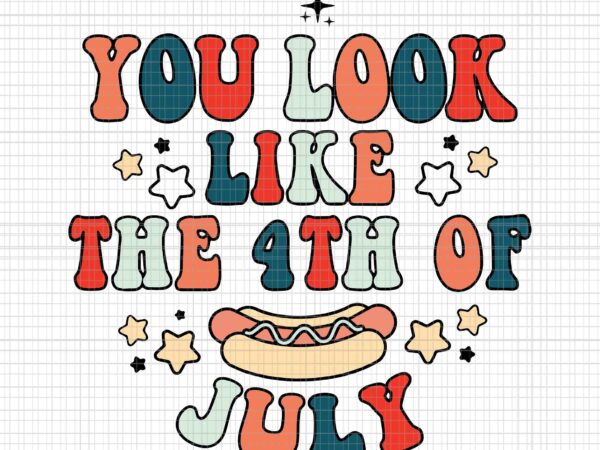 You look like the 4th of july hot dog svg, funny independence day svg, 4th of july hot dog svg, hot dog svg t shirt design template