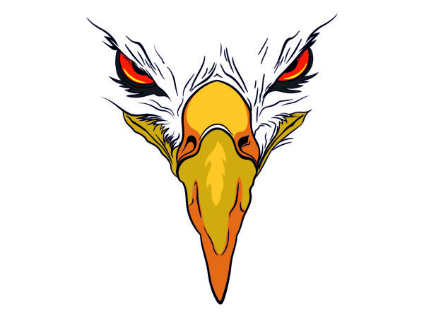 Eagle head vector clipart