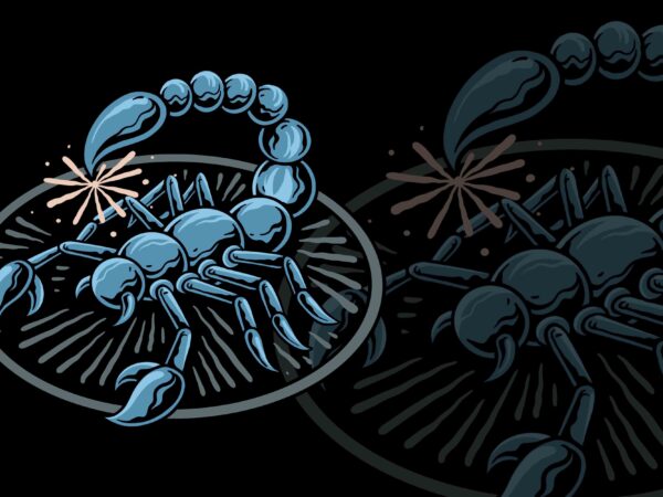 Scorpion illustration t-shirt design