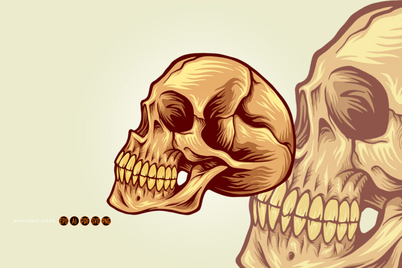 Vintage skull head logo mascot illustrations