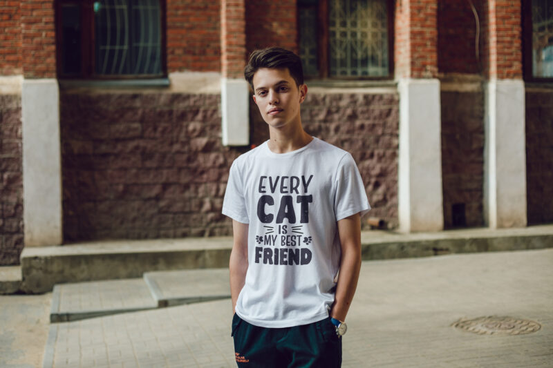 Every cat is my best friend, Cat lover typograph t-shirt design