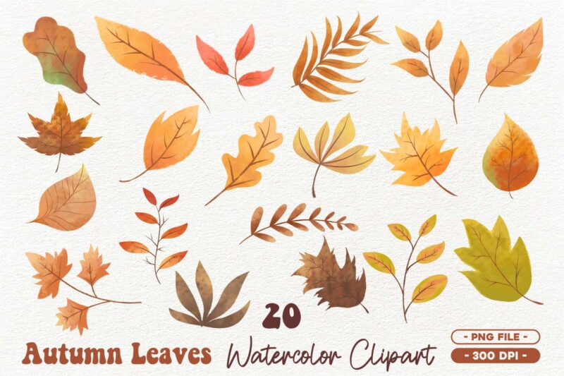 Autumn Leaves Watercolor Clipart PNG, Fall Leaves PNG Bundle