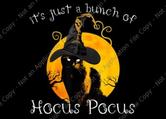Black Cat Moon Halloween Png, Funny Halloween Bunch Of Hocus Pocus Png, Black Cat Halloween Png, Halloween Png, Hocus Pocus Png, pumpkin horror svg, spooky, scary halloween svg, spooky halloween t shirt template