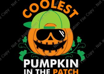 Coolest Pumpkin In The Patch Halloween Svg, Coolest Pumpkin Svg, Pumpkin Svg, Halloween Svg, Mentally Ill But Totally Chill Halloween Skeleton Svg, Halloween Skeleton Svg, Halloween Svg, Get In Losers t shirt vector file