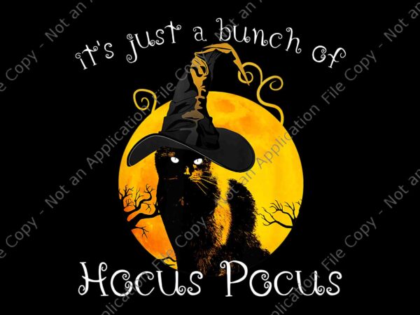 It’s just a bunch of hocus pocus png, black cat moon funny halloween png, bunch of hocus pocus png, black cat halloween png, cat halloween png t shirt design for sale