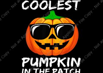 Coolest Pumpkin In The Patch Halloween Png, Coolest Pumpkin Png, Pumpkin Png, Halloween Png t shirt vector file