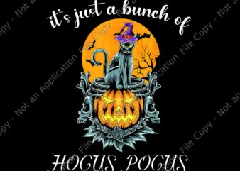 Black Cat Moon Png, Funny Halloween Bunch Of Hocus Pocus Png, Black Cat Moon Halloween Png, Black Cat Halloween Png, Black Cat Witch Png t shirt template