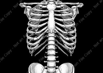 Halloween Skeleton Rib Cage Png, Halloween Skeleton Png, Halloween Png, Skeleton Png