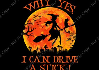 Why Yes Actually I Can Drive A Stick Png, Halloween Witch Png, Witch Png, Halloween Png t shirt design for sale
