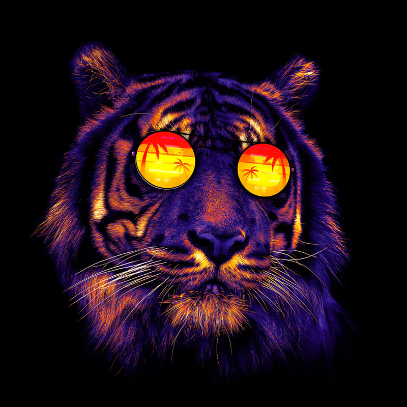 Vibe Tiger