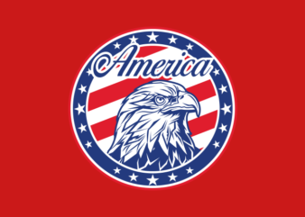 AMERICAN EAGLE PIN