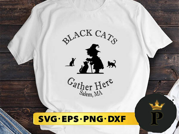 Black cats gather here salem ma halloween witch svg, halloween silhouette svg, halloween svg, witch svg, halloween ghost svg, halloween clipart, pumpkin svg files, halloween svg png graphics