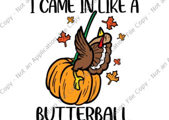 I Came In Like A Butterball Svg, Funny Thanksgiving Svg, Thanksgiving Day Svg, Turkey Svg