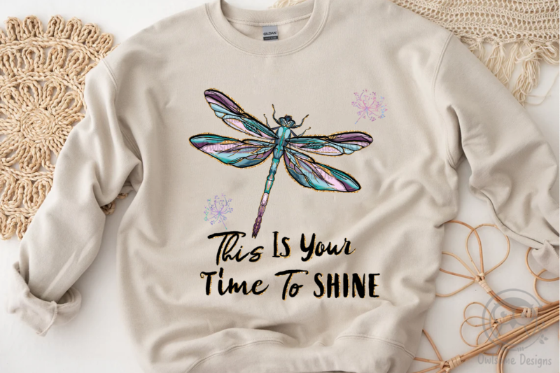 This Is Your Time To Shine Dragonfly PNG