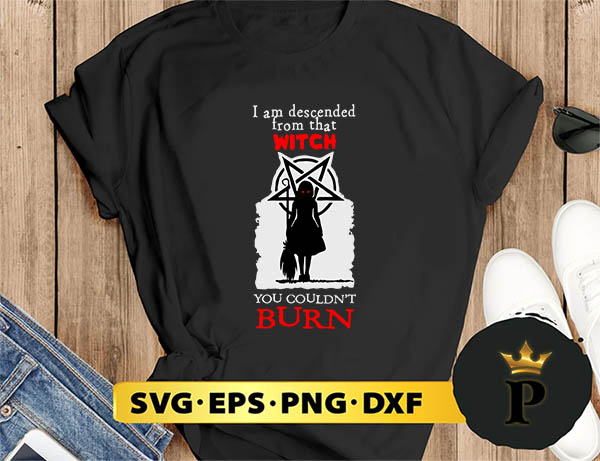 i am descended from that witch svg, halloween silhouette svg, halloween svg, witch svg, halloween ghost svg, halloween clipart, pumpkin svg files, halloween svg png graphics