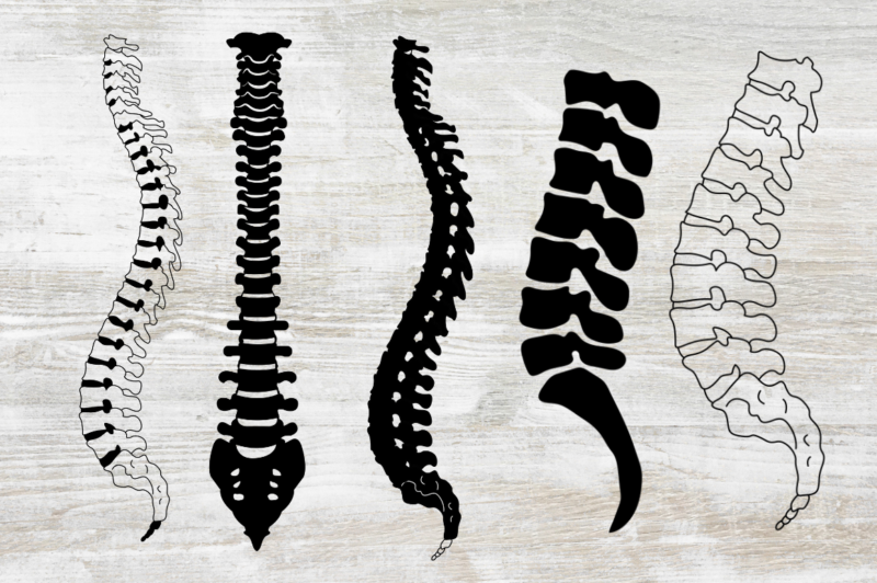 Human Bone SVG Bundle