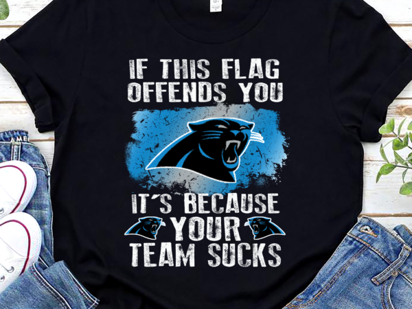 Carolina Panthers, If This Flag Offends You, It's Because Your Team ...